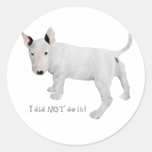 Wer, ich?  Bull Terrier Welpe Runder Aufkleber