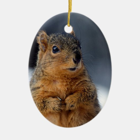 Wer ich Eichhörnchen Keramik Ornament (Vorne)