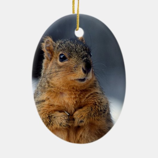 Wer ich Eichhörnchen Keramik Ornament (Hinten)