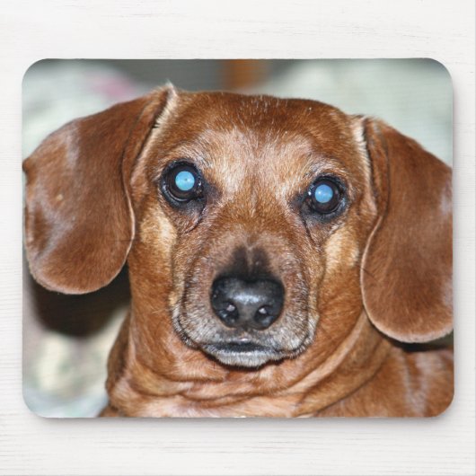 Wer ich mousepad (Vorne)