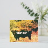 Wer? Ich? Postkarte (Stehend Vorderseite)