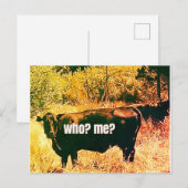 Wer? Ich? Postkarte (Vorne/Hinten)