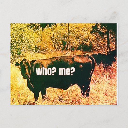 Wer? Ich? Postkarte (Vorderseite)