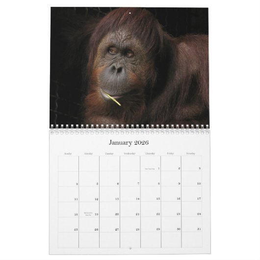 Wer interessiert sich, wenn es saisonal ist? kalender (Jan 2026)