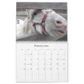 Wer interessiert sich, wenn es saisonal ist? kalender (Feb 2026)