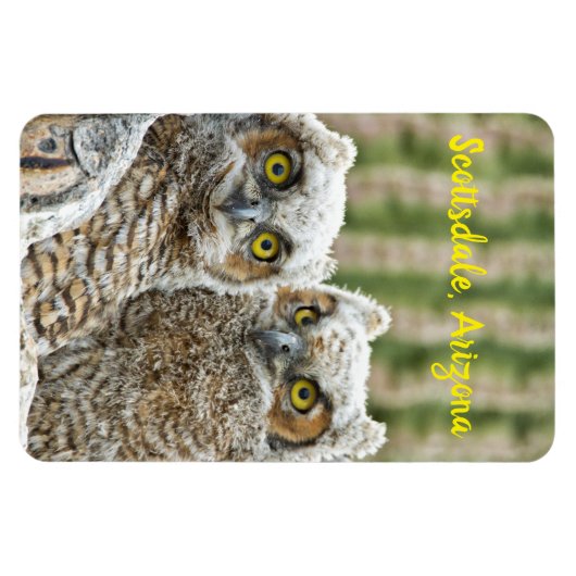 Wer ist da? Paar von Owells Scottsdale, Arizona Magnet (Horizontal)