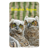 Wer ist da? Paar von Owells Scottsdale, Arizona Magnet (Vertikal)