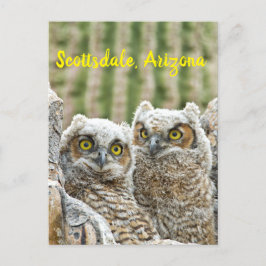 Wer ist da? Paar von Owells Scottsdale, Arizona Postkarte