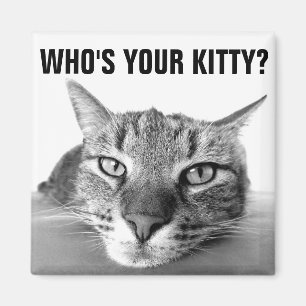 Wer ist dein Kätzchen? Magnete, Tabby Magnet