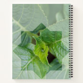 "Wer ist der Schöpfer?" Notizblock (Rückseite)