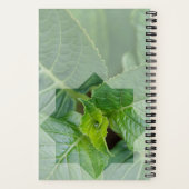 "Wer ist der Schöpfer?" Notizblock (Rückseite)