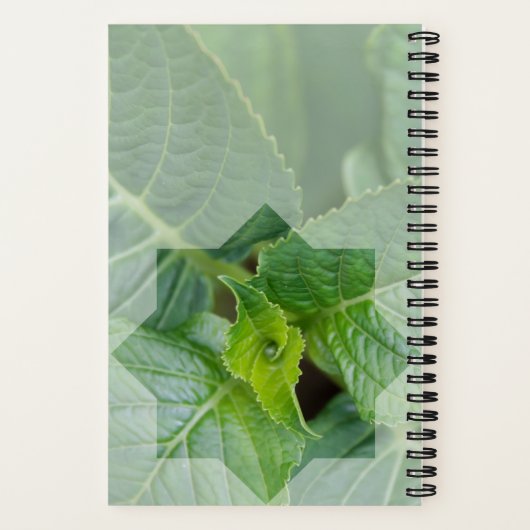 "Wer ist der Schöpfer?" Notizblock (Rückseite)