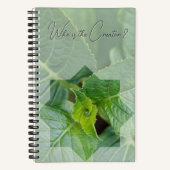 "Wer ist der Schöpfer?" Notizblock (Vorderseite)