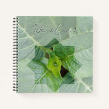 "Wer ist der Schöpfer?"