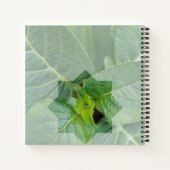 "Wer ist der Schöpfer?" Notizblock (Rückseite)