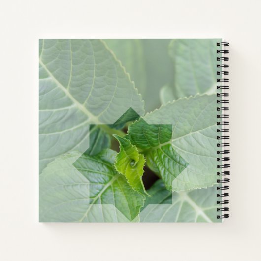 "Wer ist der Schöpfer?" Notizblock (Rückseite)