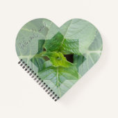 "Wer ist der Schöpfer?" Notizblock (Vorderseite)