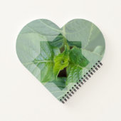 "Wer ist der Schöpfer?" Notizblock (Rückseite)