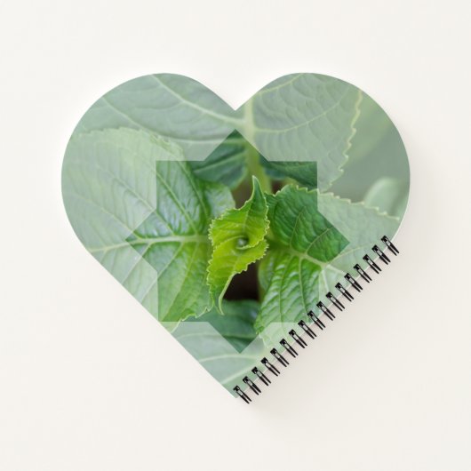 "Wer ist der Schöpfer?" Notizblock (Rückseite)