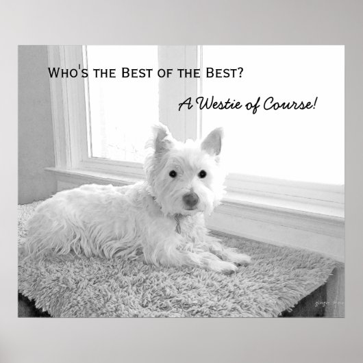 Wer ist die Beste der Besten? Ein Westie of Course Poster (Vorne)