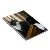 Wer ist dieser hübsche Typ? Notizblock (Rechte Seite)