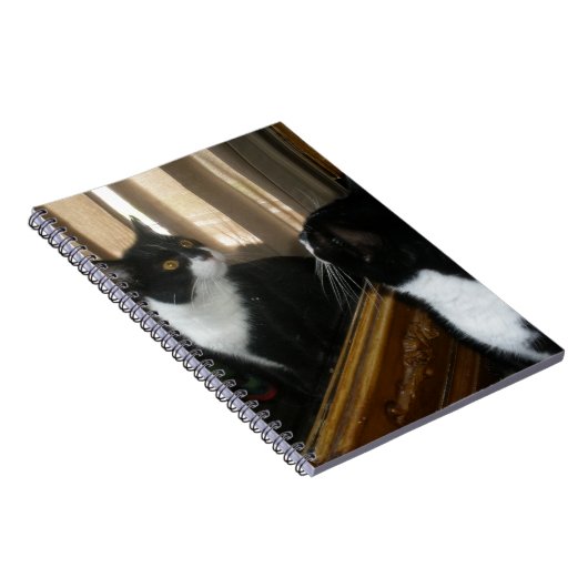 Wer ist dieser hübsche Typ? Notizblock (Rechte Seite)