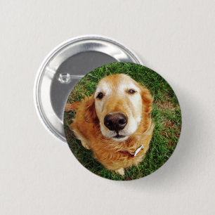 Wer ist ein guter Junge Button