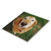 Wer ist ein guter Junge? Fliese (Seite)