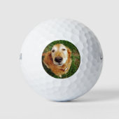 Wer ist ein guter Junge Golfball (Vorderseite)