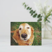 Wer ist ein guter Junge? Postkarte (Stehend Vorderseite)