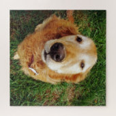 Wer ist ein guter Junge? Puzzle (Horizontal)