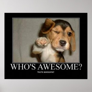 Wer ist fantastisch? poster