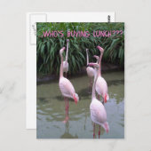 Wer kauft das Mittagessen? Postkarte (Vorne/Hinten)