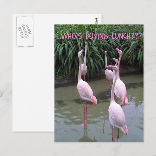 Wer kauft das Mittagessen? Postkarte (Vorne/Hinten)