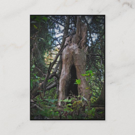 Wer lebt hier? ATC Visitenkarte (Vorderseite)