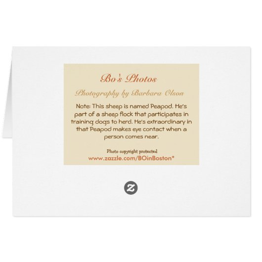 Wer Lieben Ewe? Ich würde es tun: Valentine/Geburt (Rückseite Horizontal)