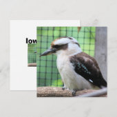 Wer nennt einen Kook (Vorne/Hinten)