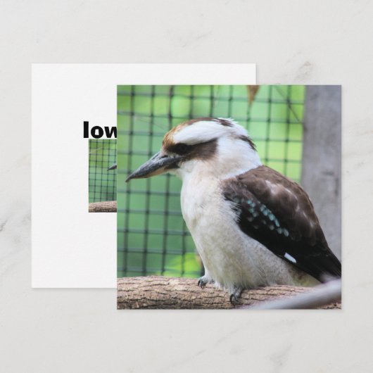 Wer nennt einen Kook (Vorne/Hinten)