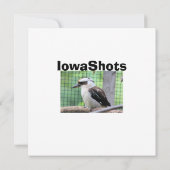 Wer nennt einen Kook (Rückseite)