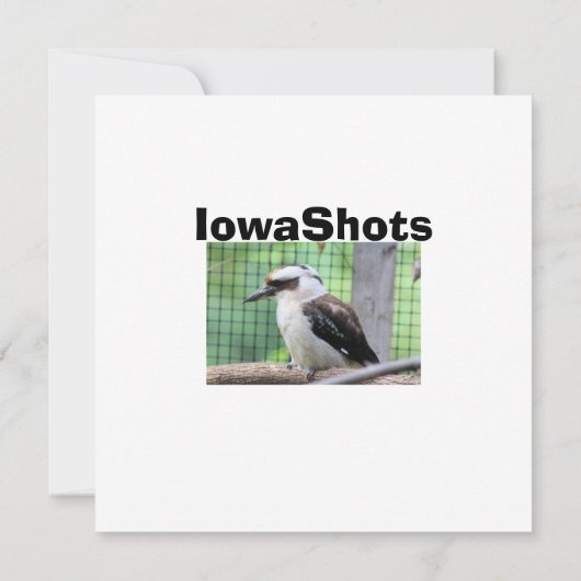 Wer nennt einen Kook (Rückseite)