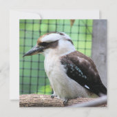 Wer nennt einen Kook (Vorderseite)