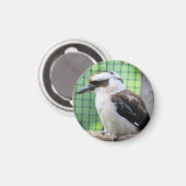 Wer nennt einen Kook Magnet (Vorderseite/Rückseite)