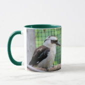 Wer nennt einen Kook Tasse (Links)