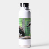 Wer nennt einen Kook Trinkflasche (Links)