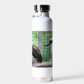 Wer nennt einen Kook Trinkflasche (Rechts)