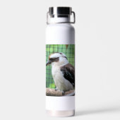 Wer nennt einen Kook Trinkflasche (Rückseite)