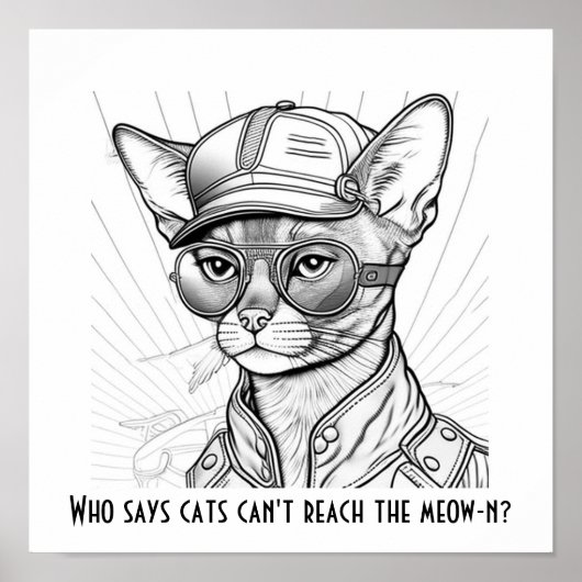 Wer sagt, dass Katzen das Meow-n nicht erreichen k Poster (Vorne)