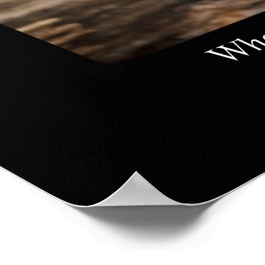 Wer sagt, nichts sei unmöglich poster (Ecke)