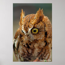 Wer schaut nach unten