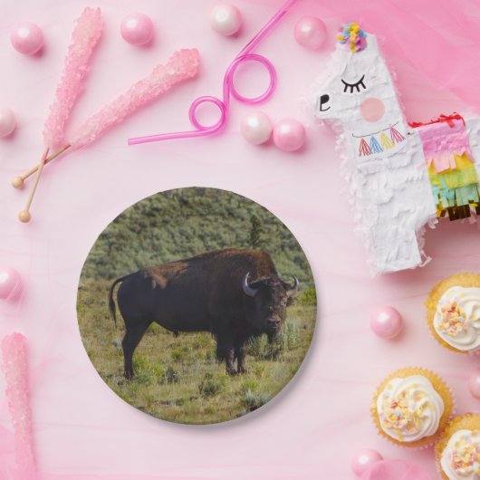 Wer Sie betrachtend Pappteller (Party)